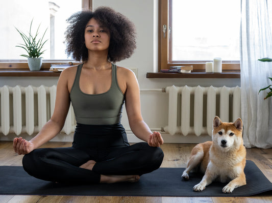 Dog and his owner doing yoga at home